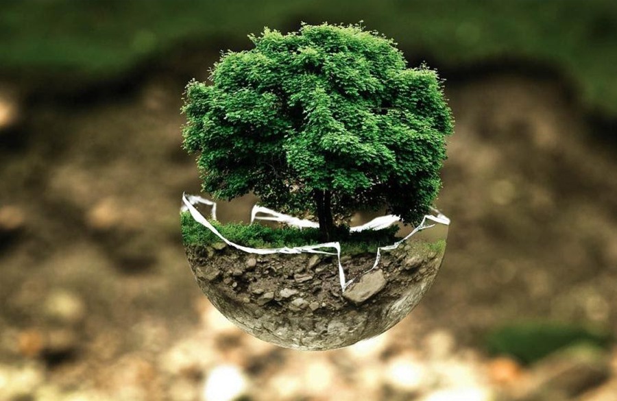 Environmental Solution